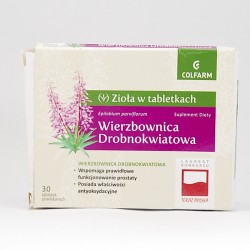 Wierzbownica drobnokwiatowa