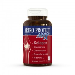 Artro Protect Max 60 kapsułek