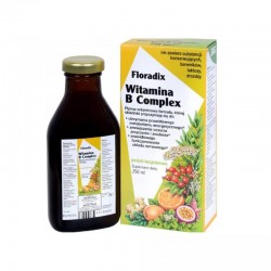 Floradix Witamina B Complex płyn 250 ml