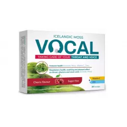 VOCAL pastylki do ssania miękkie