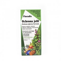 Floradix Ochrona jelit 250 ml
